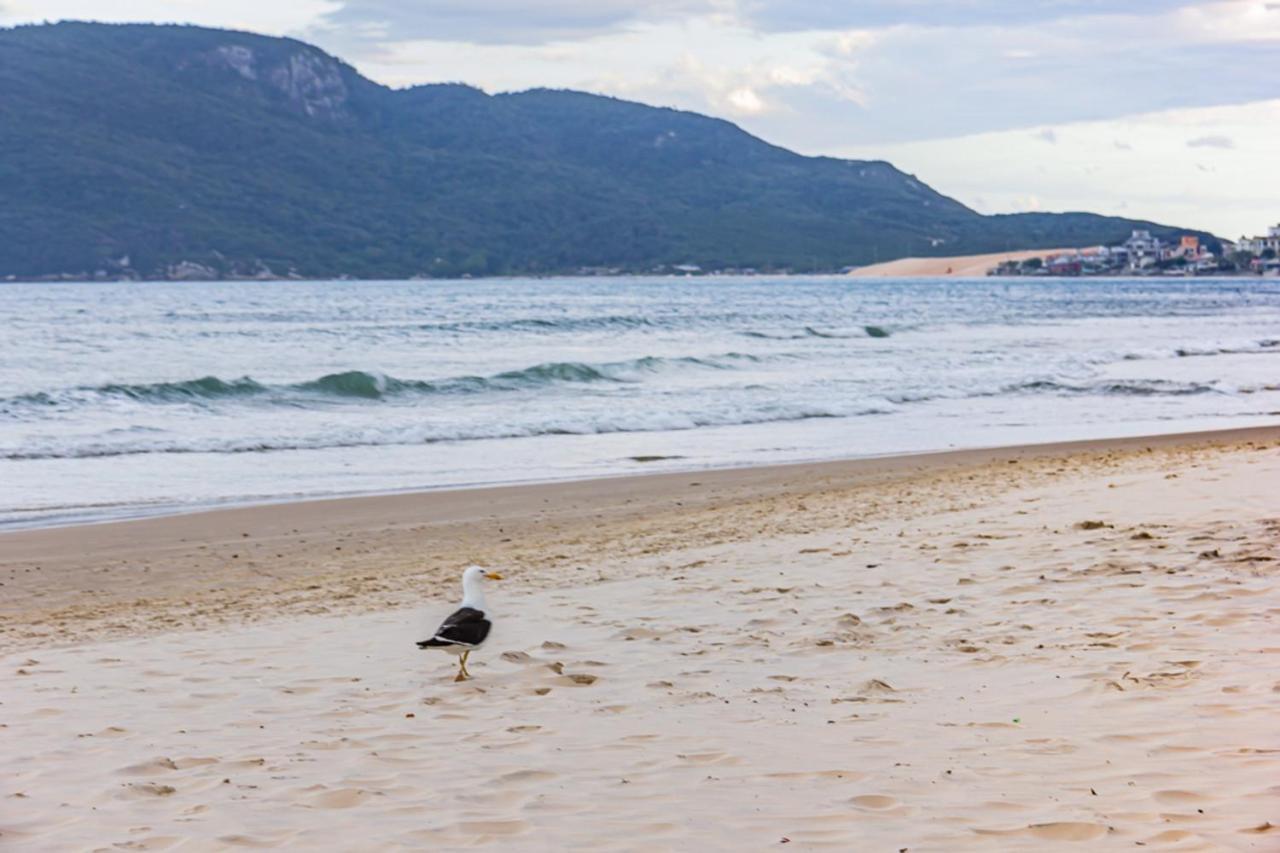 Cobertura Com Vista Mar Para 6 Hospedes, 150 Metros Da Praia Dos Ingleses Ing17 Florianópolis Zewnętrze zdjęcie